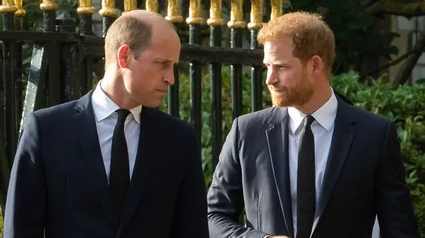 Prince William and Prince Harry